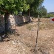 Camino de aproximación - Esta flecha roja indica que para seguir el camino hay que cruzar la original puerta azul. Más adelante aún encontraremos otra flecha que señala hacia una extraña estructura de metal que hace las veces de escalera.