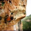 Ànimo Solete!! - Solete se estira en busca del canto de salida del techo. Impresionante para tratarse tan solo de un 6a+