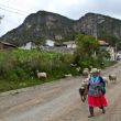 De subida al Coji - Saliendo del hostal/refugio de escaladores el Cojitambo... nos dirigimos al pueblo para tomar el camino que nos lleva a la cantera y de ahí acceder al sector de la zona 2