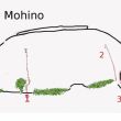 Canto Mohino - 