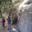 michelines genéticos (6a) - 