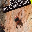 Escalada en Castellón - Escuelas de escalada: Jérica, Peñas Aragonesas, Tales, Fuentes de Ayodar, Llavalasar, Vallat, El Castellet, La Cantera, Borriol, Orpesa, La Rambla, Atzeneta del Maestrat, Penyagolosa, Barranc de la Guitarra, Sarratella, Culla, Torreblanca, Murs, Torre Badun, Penyíscola, La Pedrera, Morral de l’Angel, Xert, Rosell, Morella-Forcall, La Gotera.
IDIOMA: Castellano.