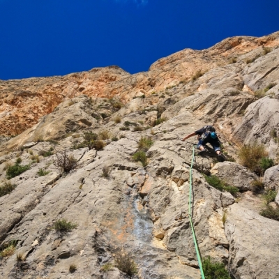 Primer largo Gorilas en la roca